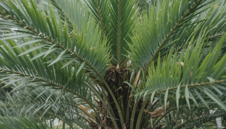 Pruning and maintaining palm tree leaves.